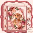 Dachshund Dog & Dusky Roses 8x8 Decoupage Mini Kit