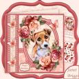 Jack Russell Dog & Dusky Roses 8x8 Decoupage Mini Kit