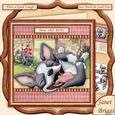 How Old Rofl Humorous Terrier Dog 7.5 Decoupage Mini Kit