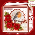 ROBIN & POINSETTIA 7.5 Christmas Decoupage & Insert Kit