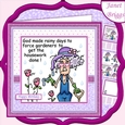 STELLA THE GARDENER 7.5 Humorous Decoupage & Insert Mini Kit