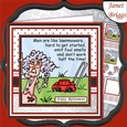 STELLA & LAWNMOWERS  7.5 Humorous Decoupage & Insert Mini Kit