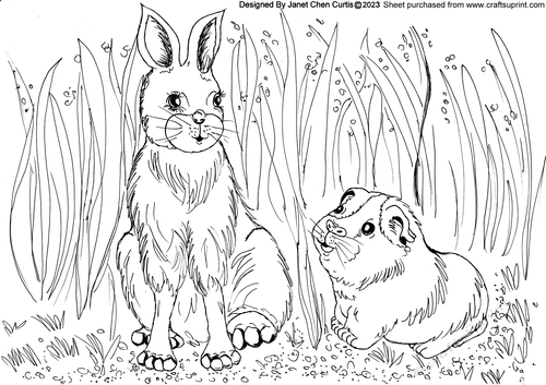 wild isle adventure 5-guinea pig and hare