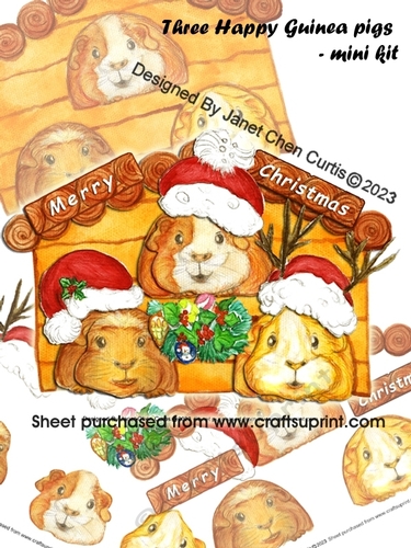 Three happy guinea pigs-mini kit