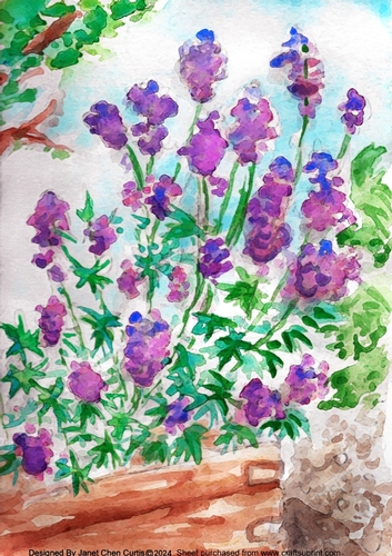 in the courtyard-purple blossom