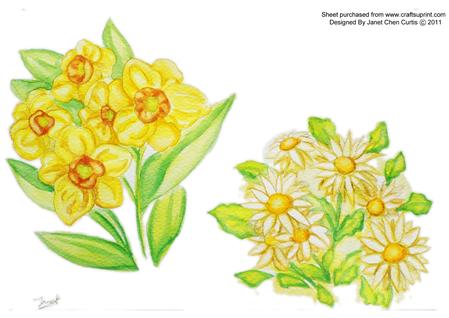 Daffodils and Daisies
