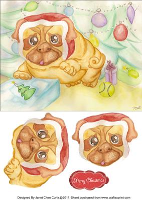Give a Hug to This Cute Pug