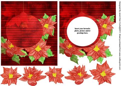 Xmas Poinsettia -1