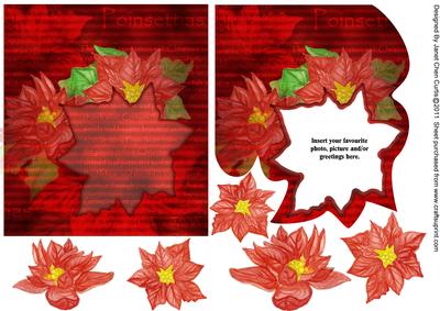 Xmas Poinsettia -2