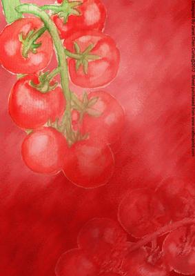 Tomatoes Backing Paper