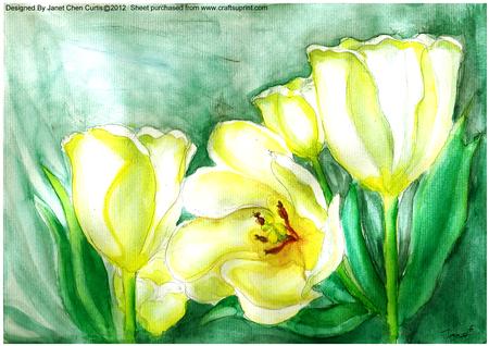 White Tulips