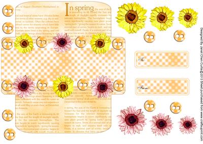 Gerbera Daisy Gifts and Money Wallet