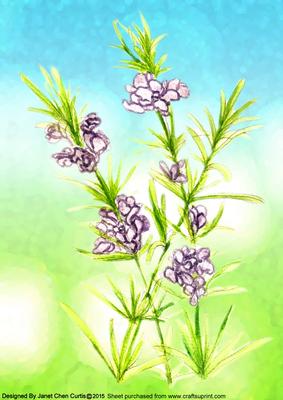 Herbal Garden-rosemary