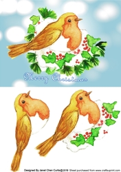 Christmas robin bird