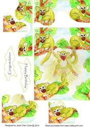 Funky Spider Monkeys