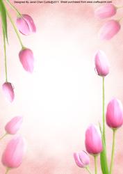 Pale Pink Floral Theme Backing Paper