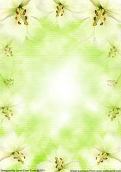 Cream White Floral Theme Backing Paper