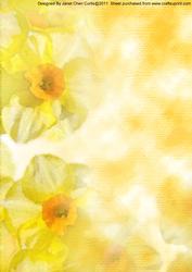 Spring Flowers- Daffodils Backing Paper
