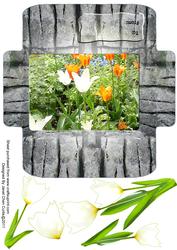 A Beautiful Tulips Garden-money and Gift Wallet