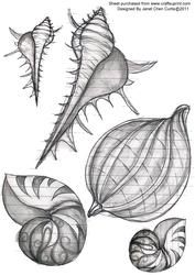 Seashells 1 ~ Digital Stamping