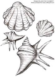 Seashells 2 ~ Digital Stamping