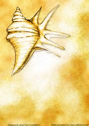 Lyrical Seashell