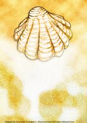 Tranquill Seashell