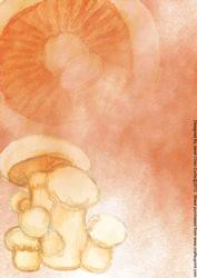 Mushrooms Backing Paper