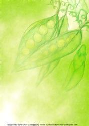 Sweet Pea Backing Paper