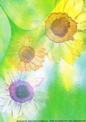 Gerbera Daisy Backing Paper