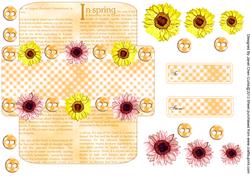 Gerbera Daisy Gifts and Money Wallet
