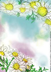 Chamomile Flowers Backing Paper
