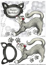 Cool Cat-take a Break-quick &shaker Card
