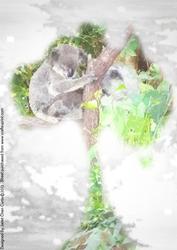 Holiday-cute Koalas