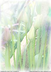 Dreamy Tulip Garden