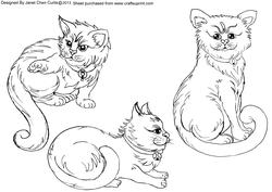 Three Cats