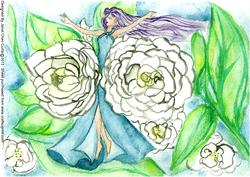Dancing in a Camellia Garden