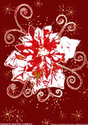 Christmas Poinsettia