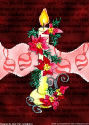 Christmas Candle and Poinsettias
