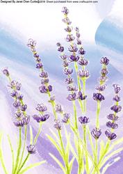 Herbal Garden-lavender