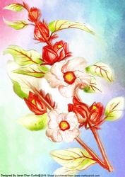 Herbal Garden-roselle