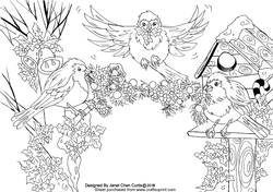 Three Christmas Robin birds