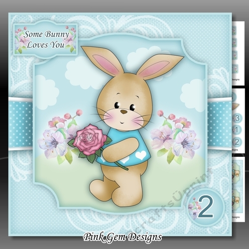 Some Bunny Loves You - With Ages 1 to 7 yrs
