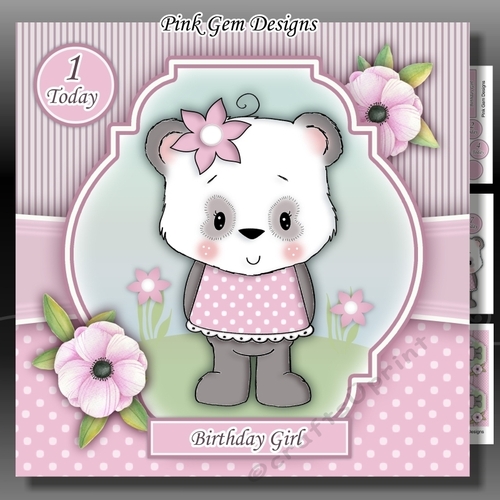 Panda Girl 2 Mini Kit With Ages 1 to 7 Years