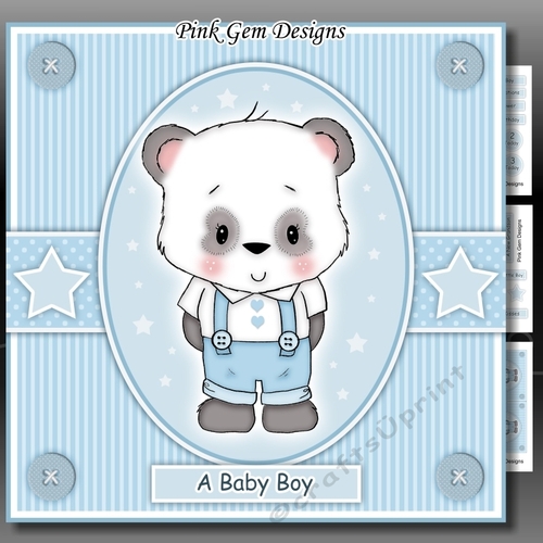 Baby Boy Panda Mini Kit