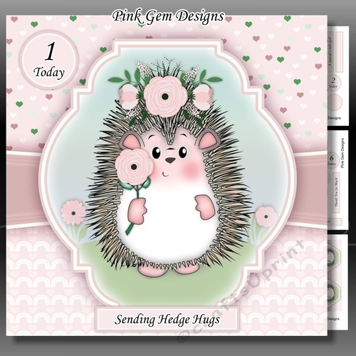 Hedgy Hedgehog Mini Kit With Ages 1 to 8 Yrs