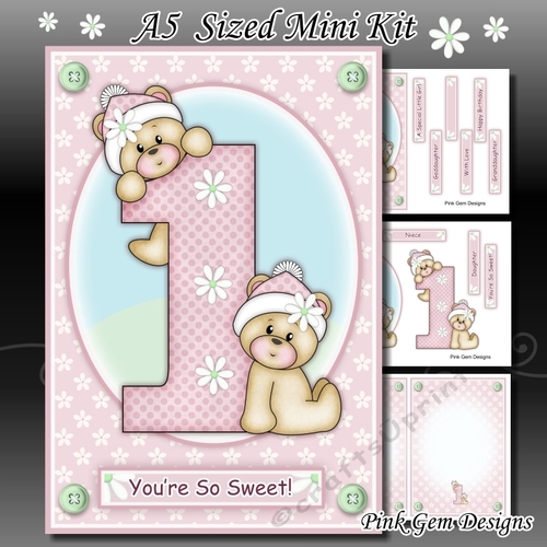 A5 1st Birthday Bears Girl Mini Kit