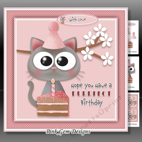 A Purrfect Birthday