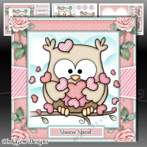 Love Owl Mini Kit