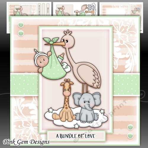 Baby Stork Mini Kit